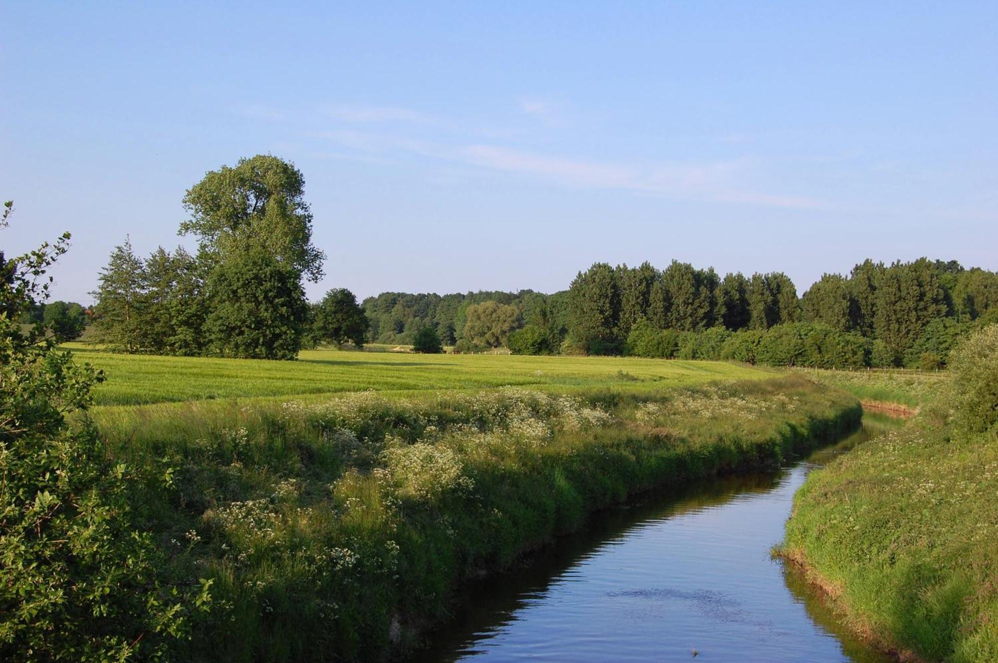 Landidyll Wilminks Parkhotel Neuenkirchen  Buitenkant foto